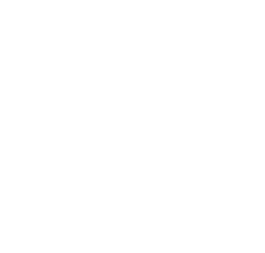 Last.fm icon