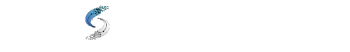 Paul Sybrandy Logo
